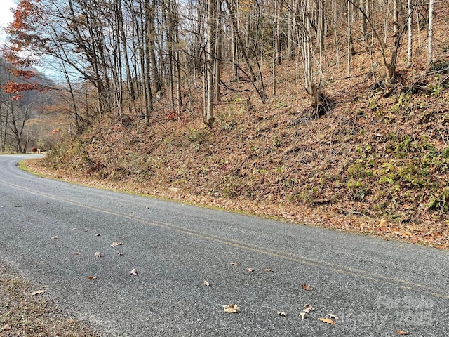 00 Foster Creek Rd, Marshall, NC 28753 - photo 16