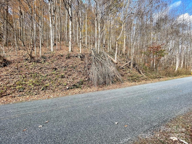 00 Foster Creek Rd, Marshall, NC 28753 - photo 17