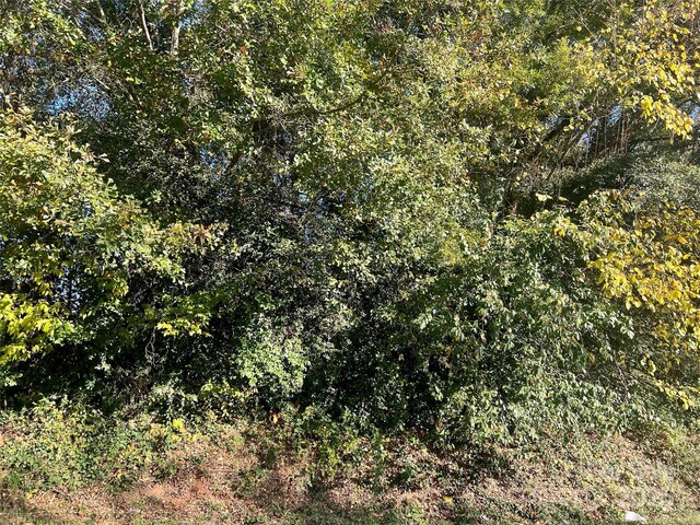 5.45ACRES Memorial Park Rd, Lancaster, SC 29720 - photo 9