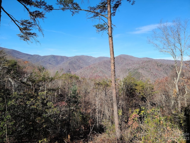 0 Blue Vista Rd Unit 1, Canton NC, 28716 land for sale