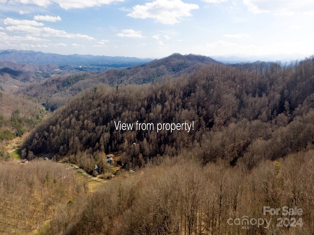 Listing photo 2 for 00 Norton Branch Rd, Marshall NC 28753