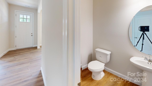 bathroom with wood-type flooring, sink, and toilet