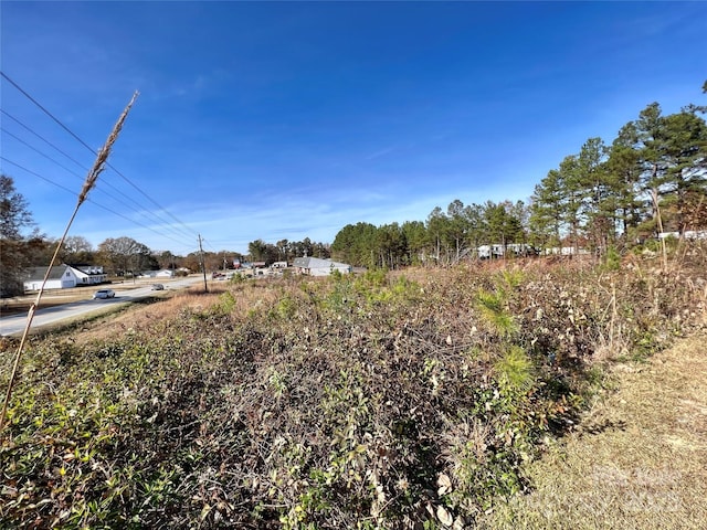 1.18ACRES Mcilwain Rd, Lancaster, SC 29720 - photo 2