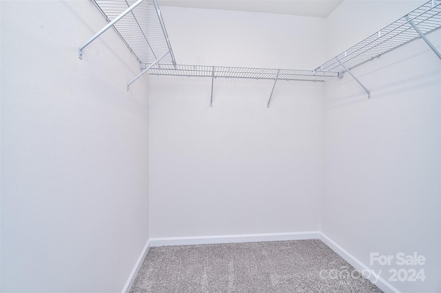 spacious closet featuring carpet flooring