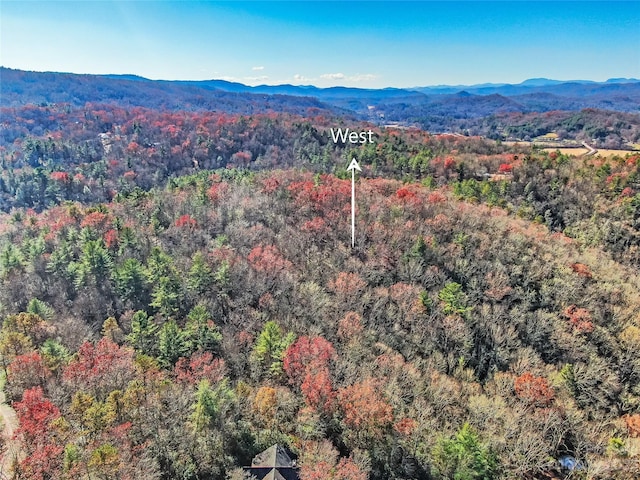 Listing photo 3 for TBD Dundee Ln Unit 6A, Pisgah Forest NC 28768