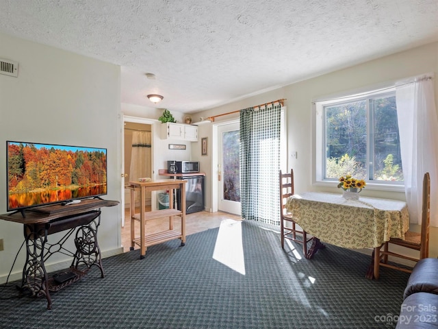 interior space featuring a textured ceiling and carpet flooring