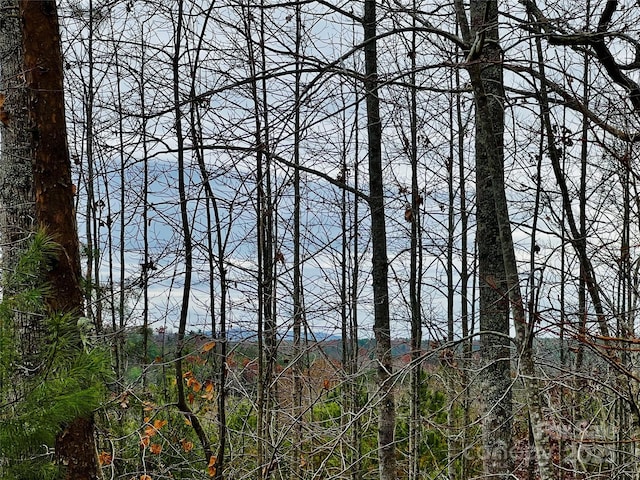 Listing photo 2 for 2.53ACRES Low Valley Way Lot 602, Lenoir NC 28645