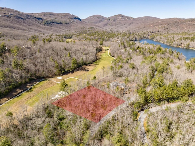 Listing photo 3 for I-12 Seminole Way, Lake Toxaway NC 28747