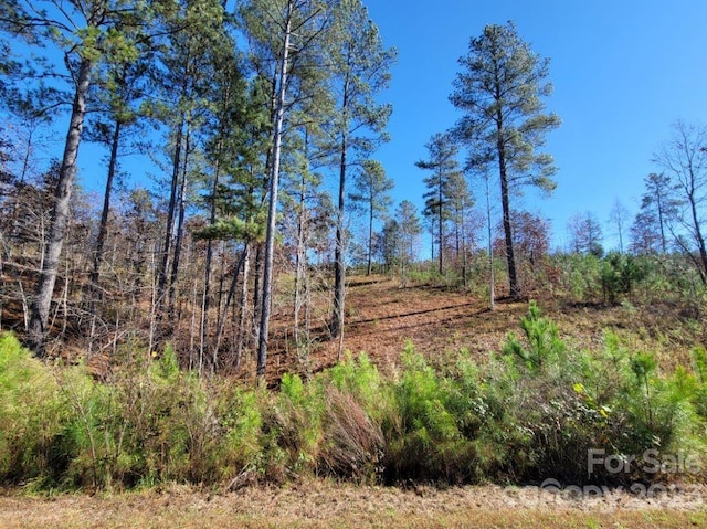 view of local wilderness