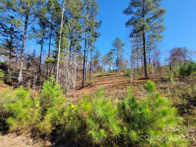 view of local wilderness