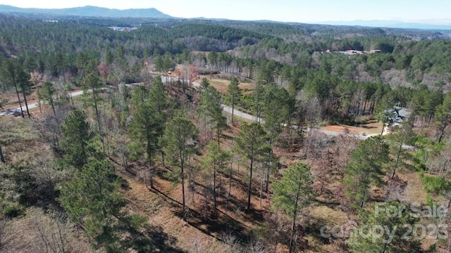 aerial view featuring a mountain view