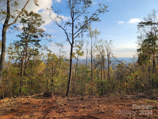 0 S Tranquility Trl Unit 47, Union Mills NC, 28167 land for sale