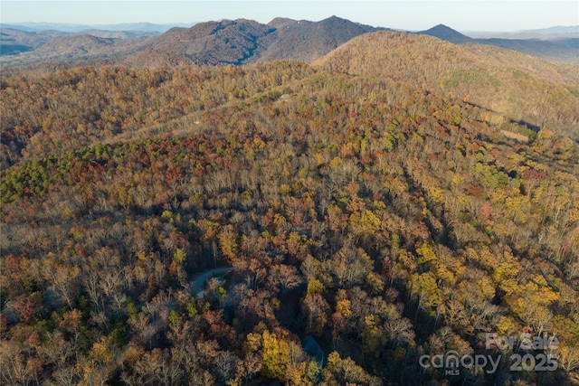 20.32ACRES N Tranquility Trl, Union Mills, NC 28167 - photo 10