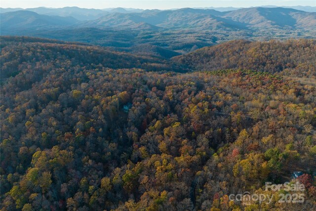20.32ACRES N Tranquility Trl, Union Mills, NC 28167 - photo 11