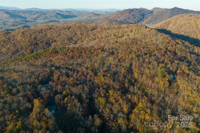 20.32ACRES N Tranquility Trl, Union Mills, NC 28167 - photo 12