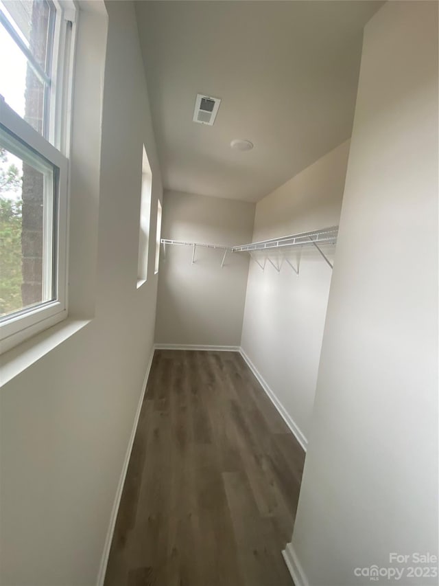 spacious closet with dark hardwood / wood-style floors