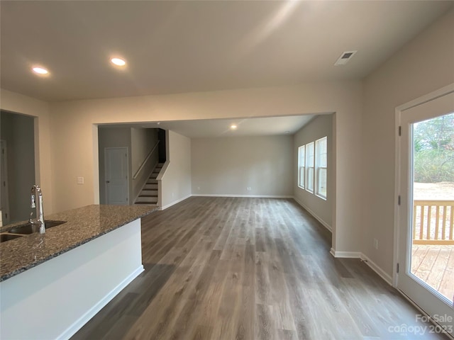 empty room featuring sink and dark wood-type flooring