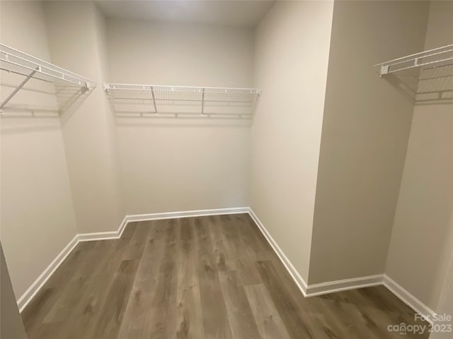 walk in closet featuring wood-type flooring