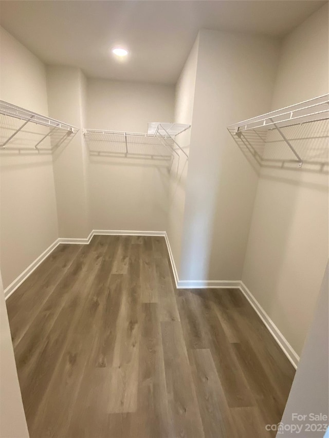 walk in closet featuring dark hardwood / wood-style floors