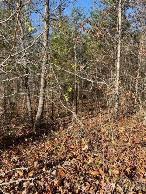 0 Holly Forest Dr, Rutherfordton NC, 28139 land for sale