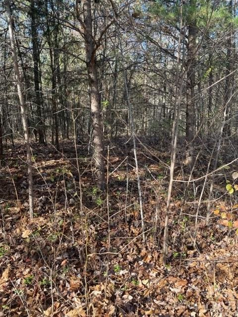 Listing photo 3 for 0 Holly Forest Dr, Rutherfordton NC 28139