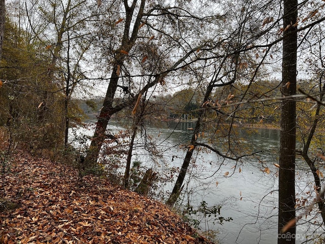 LOT154 Lookout Dam Rd, Statesville, NC 28625 - photo 1