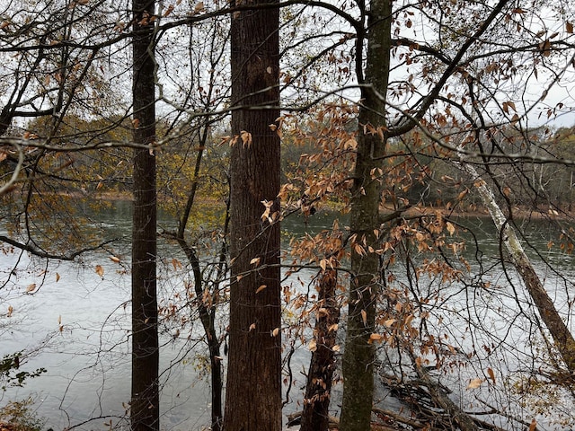 LOT154 Lookout Dam Rd, Statesville, NC 28625 - photo 2