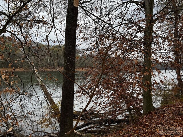 LOT154 Lookout Dam Rd, Statesville, NC 28625 - photo 3