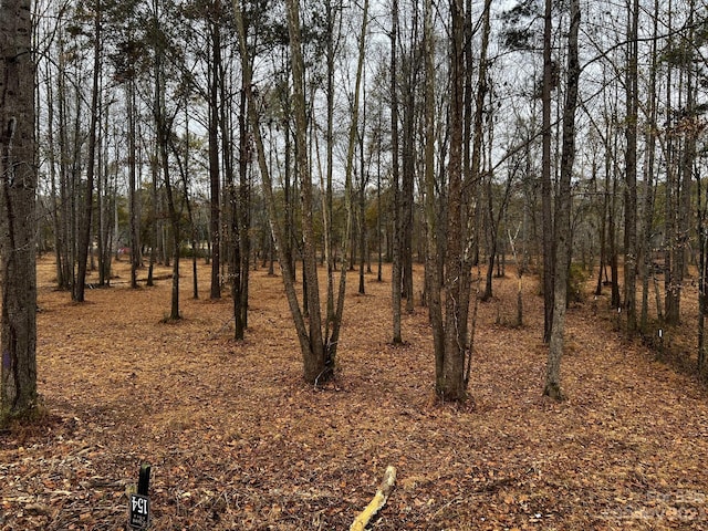 LOT154 Lookout Dam Rd, Statesville, NC 28625 - photo 4