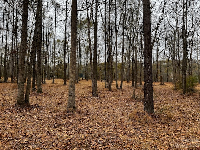 LOT154 Lookout Dam Rd, Statesville, NC 28625 - photo 5