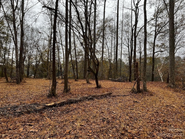 LOT154 Lookout Dam Rd, Statesville, NC 28625 - photo 6