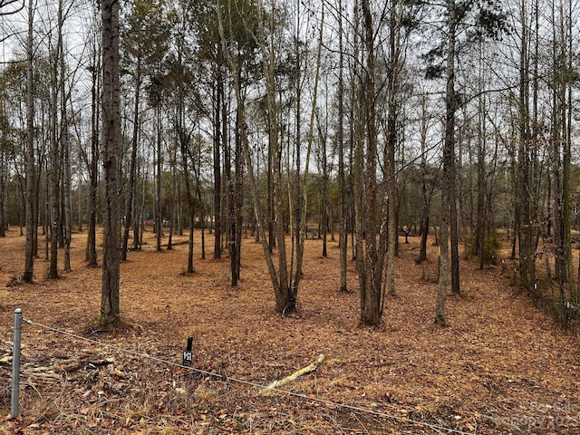 LOT154 Lookout Dam Rd, Statesville, NC 28625 - photo 7