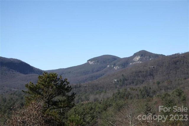 Listing photo 2 for 45 Quartz Mine Rd, Lake Toxaway NC 28747