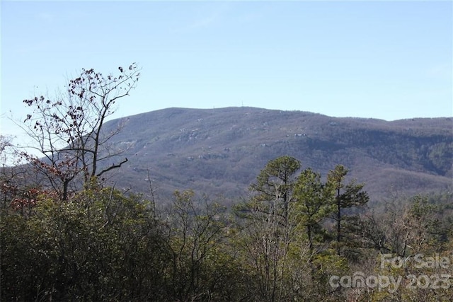 Listing photo 3 for 45 Quartz Mine Rd, Lake Toxaway NC 28747