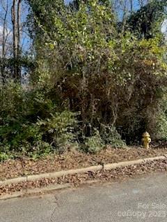 TBD Miller Ave, Salisbury, NC 28144 - photo 2