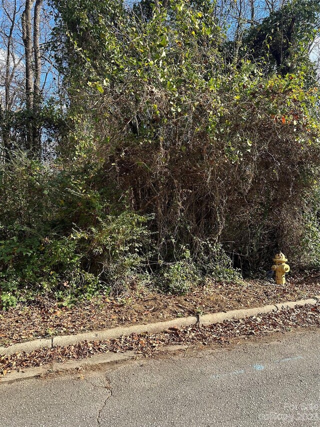 TBD Miller Ave, Salisbury, NC 28144 - photo 7