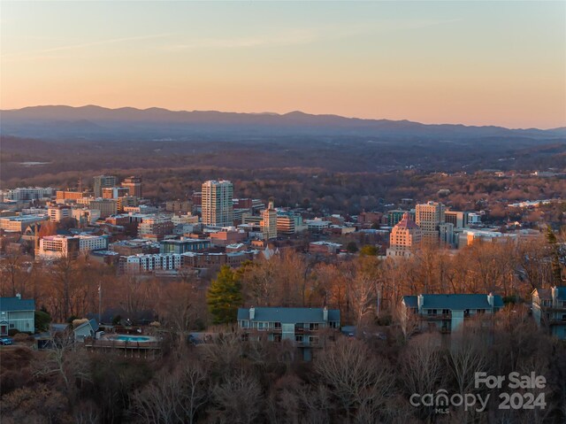 property's view of city with a mountain view