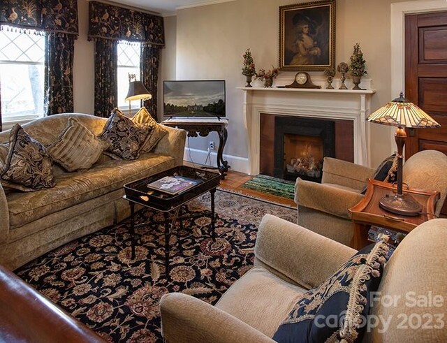 living room featuring hardwood / wood-style floors and crown molding