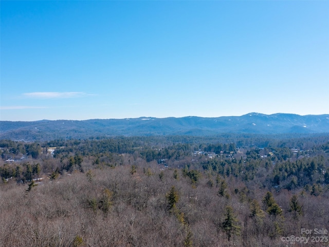 102 Bollers Knob Ln Unit 91, Hendersonville NC, 28739 land for sale