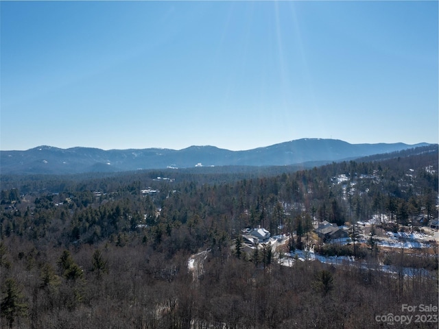 Listing photo 2 for 102 Bollers Knob Ln Unit 91, Hendersonville NC 28739