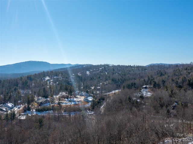 Listing photo 3 for 102 Bollers Knob Ln Unit 91, Hendersonville NC 28739