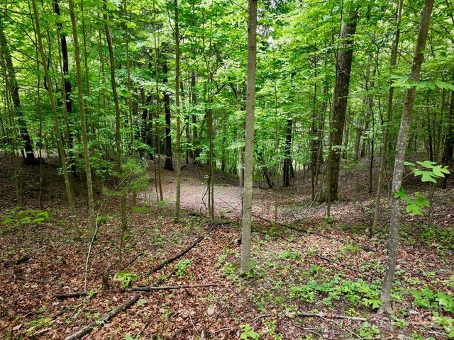 150 Thistlewynd Trl, Laurel Park, NC 28739 - photo 4