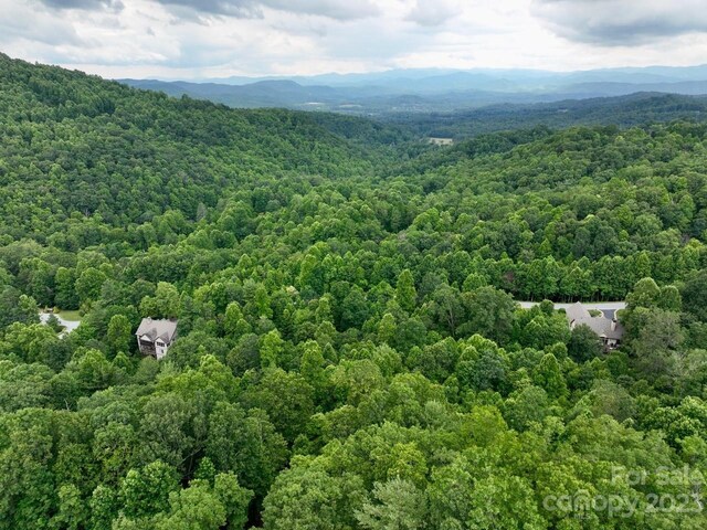 150 Thistlewynd Trl, Laurel Park, NC 28739 - photo 5