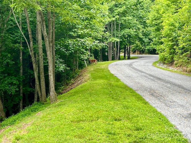 150 Thistlewynd Trl, Laurel Park, NC 28739 - photo 2