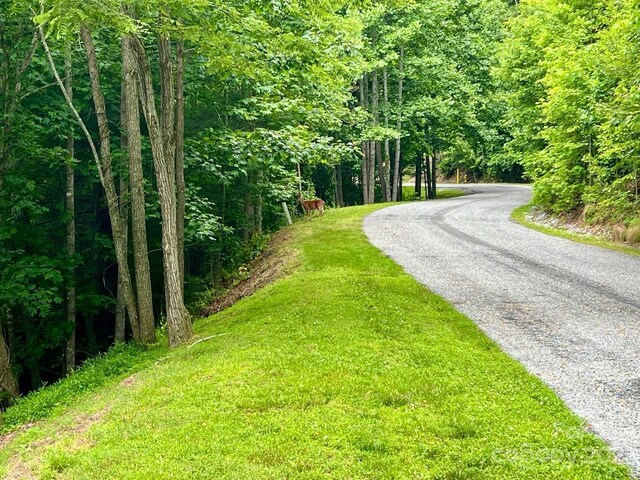 150 Thistlewynd Trl, Laurel Park, NC 28739 - photo 6