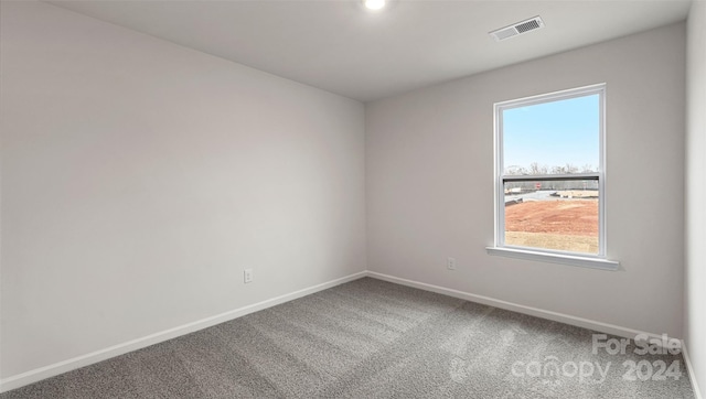 carpeted spare room featuring plenty of natural light