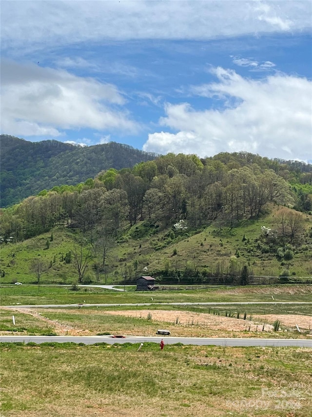 mountain view featuring a rural view