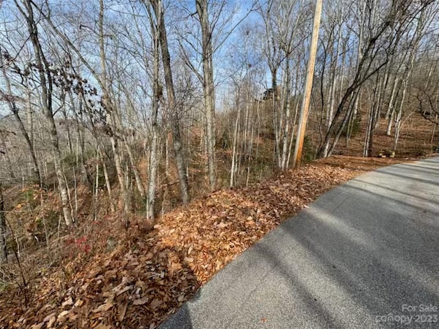 LOT17 Franklin Farm Rd, Franklin NC, 28734 land for sale