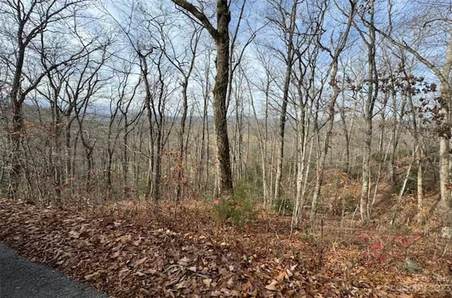 Listing photo 2 for LOT17 Franklin Farm Rd, Franklin NC 28734