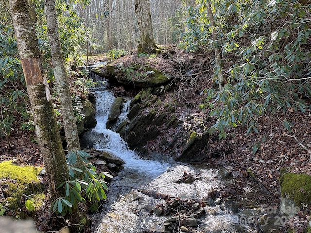 461 Spice Bottom Trl, Banner Elk, NC 28604 - view of local wilderness with a wooded view